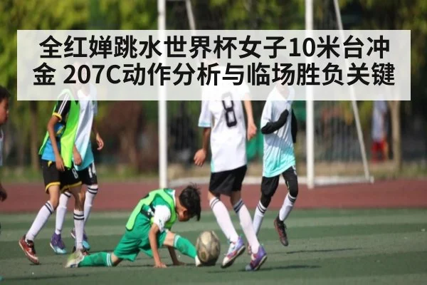 全红婵跳水世界杯女子10米台冲金 207C动作分析与临场胜负关键 | kaiyun